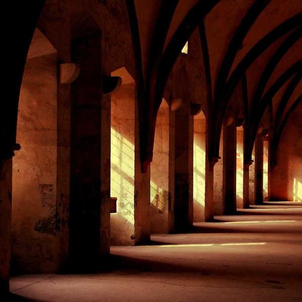 non autem illum