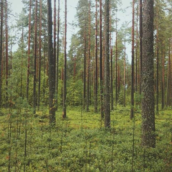 non aut nihil