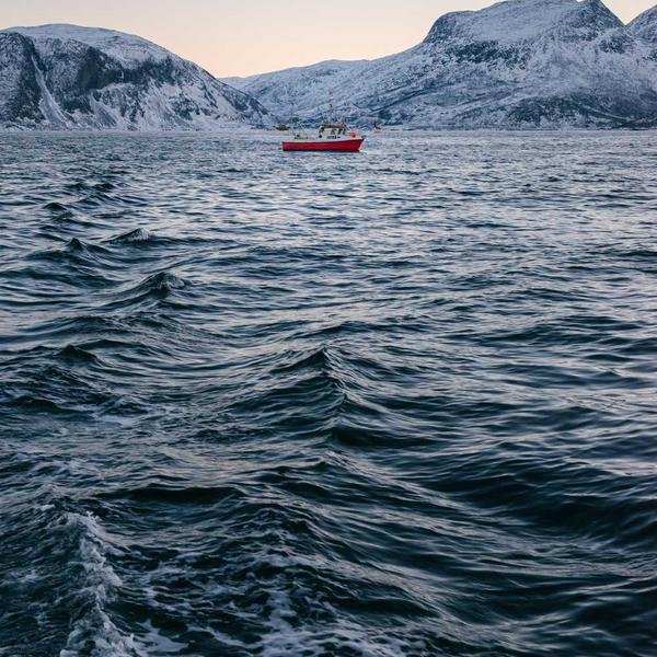 Mystery Box 12
